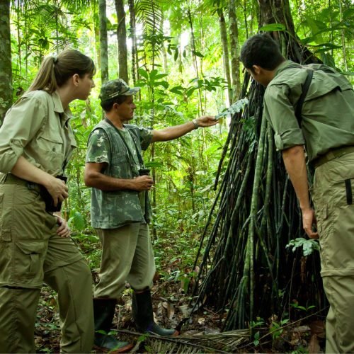 CAPA-BLOG-2000-x-1600-px-3-1