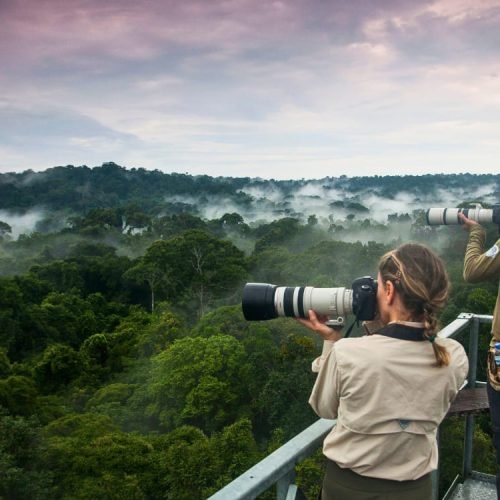 Overview-1-Birdwatching-in-the-Amazon-Rainforest-Brazil