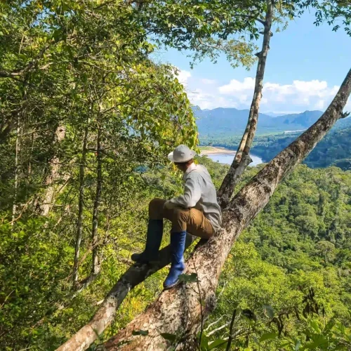 jungle-amazonienne-trek-819x1024